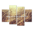 Autumn Grass Canvas Printing Art/ Modern Group Canvas Wall Art/Photos Print on Canvas